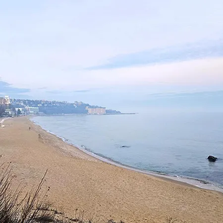 Luxury 2 Flat Free Parking, Pool And Wifi *