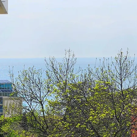 Luxury 2 Flat Free Parking, Pool And Wifi アパート *