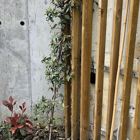 Luxury 2 Flat Free Parking, Pool And Wifi アパート ヴァルナ