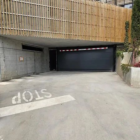 Luxury 2 Flat Free Parking And Wifi